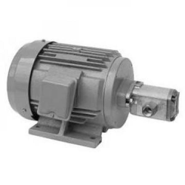 MFP100/1.7-2-0.75-10 Pompa idraulica in magazzino #1 image
