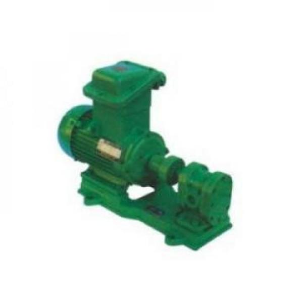 MFP100/1.7-2-1.5-10 Pompa idraulica in magazzino #3 image