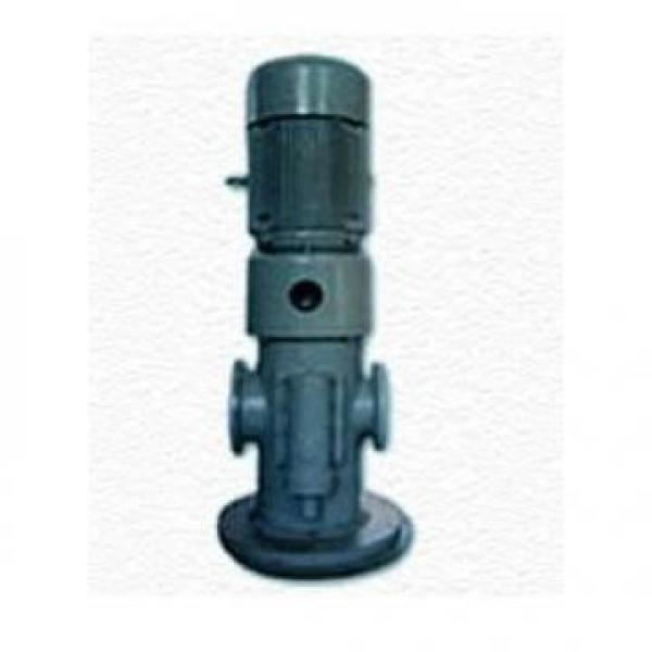 100CYZ-A-40 Pompa idraulica in magazzino #3 image