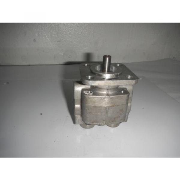 Rexroth India Greece P19FS21R Gear Hydraulic Pump #1 image